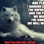 Wolf PAC