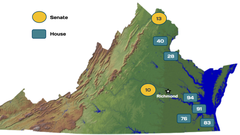 Districts that Flipped - VA 2019